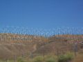 A hill of windmills.jpg